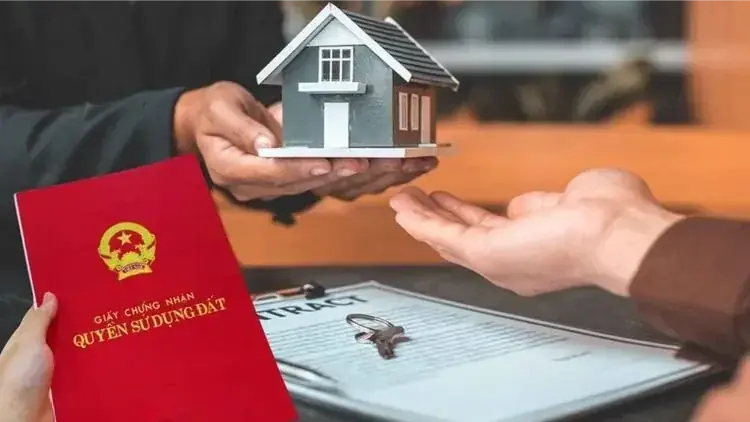 Thủ tục chia thừa kế quyền sử dụng đất khi có di chúc | Sống và làm việc theo pháp luật | 16/10/2025